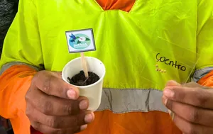 05 de junho | Dia Mundial do Meio Ambiente