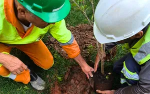 05 de Junho | Dia Mundial do Meio Ambiente